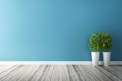 blue wall with green potted plants and hardwood floor