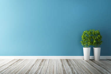 blue wall with 2 potted plants and hardwood floor